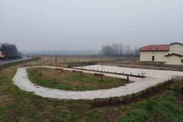 Un nuovo polmone verde a Lovoleto: completati i lavori del progetto di forestazione