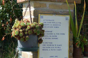 via Foggiamorta - via Marana